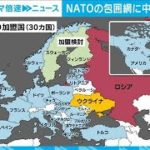 【解説】ヨーロッパも中国を“危険視”？ NATOの対中路線　政治部・澤井尚子記者【ABEMA NEWS】(2022年6月29日)