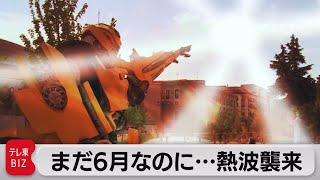 「食料」「健康」に赤信号　欧米にアジア…世界各地に熱波襲来　熱中症の犠牲防ぐネットワークも（2022年6月13日）