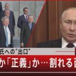 『プーチン氏への”出口” 「和平」か「正義」か…割れる西側』【5月31日（火）#報道1930】