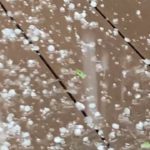 強い雨風とともに降ったひょう　埼玉県宮代町