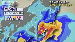 活発な雨雲が関東へ　夕方から激しい雷雨に(2022年7月16日)