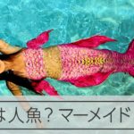 マーメイドスイム　尾びれようなフィンで人魚気分
