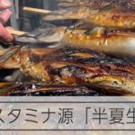 夏の風物詩「はげっしょさば」
