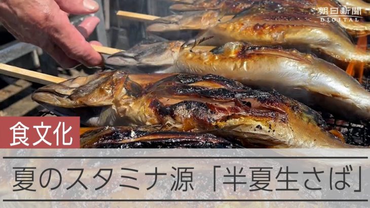夏の風物詩「はげっしょさば」