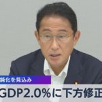 ＧＤＰ2.0％に下方修正 輸出の鈍化を見込み【WBS】（2022年7月25日）