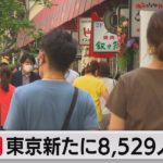 東京都の新規感染者8,529人 専門家「第７波に入った」（2022年7月7日）