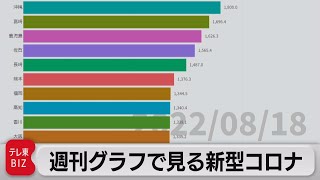 「人口当たりで九州が上位に」週刊グラフで見る新型コロナ（2022年8月19日）