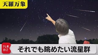 夏の天体ショー開幕！ただ…　それでも眺めたい流星群【久保田解説委員の天羅万象】(91)（2022年8月12日）