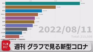 「東京などでピークアウトの兆し」週刊グラフで見る新型コロナ（2022年8月12日）