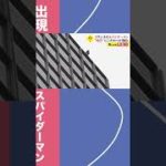 フランスのスパイダーマン #shorts