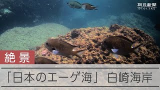 「日本のエーゲ海」 白崎海岸