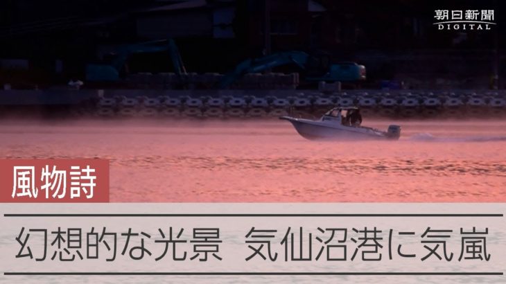 冬の訪れ告げる「気嵐」出現　気仙沼