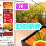 【女子鉄アナ×鳥海高太朗】JR東日本パス“乗り放題”でグルメも紅葉も満喫旅(2022年10月18日)