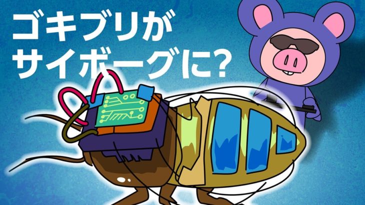 【マンガ動画】ゴキブリ嫌いも思わずうなる「サイボーグ化」