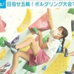 目指せ五輪！ボルダリング大会で小学生奮闘(2022年10月23日)