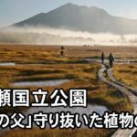 「尾瀬の父」守り抜いた植物の楽園　尾瀬国立公園