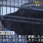 「家族ですから」ペット同行避難訓練　東京・中野区(2022年11月27日)