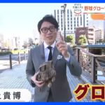 リメイクの効果は？野球のグローブ再生でつなぐ未来…井上貴博アナが取材｜TBS NEWS DIG