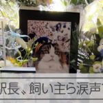 ネコ駅長「らぶ」のお別れ会に1千人