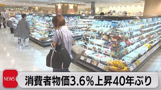 消費者物価3.6％上昇40年ぶり伸び率（2022年11月18日）