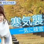 【ライブ】今季初寒気襲来！ 急な大雪に厳重警戒を… 今年の冬の天候はどうなる？ | TBS NEWS DIG