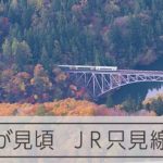 JR只見線の紅葉が見頃　赤や黄色に色づく山