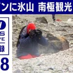 ペンギンに！氷山に！好奇心いっぱい〝観光の極致〟南極ツアーを万全の装備と心構えで満喫する人びと 1988年【映像記録　news archive】