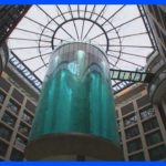 ドイツで世界最大級の水槽大破　建物を破壊し、周辺道路も封鎖｜TBS NEWS DIG