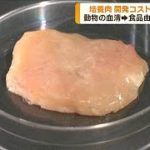 日本ハム　培養肉の開発コストを大幅削減(2022年12月28日)