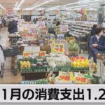 11月の消費支出　1.2％減（2023年1月10日）