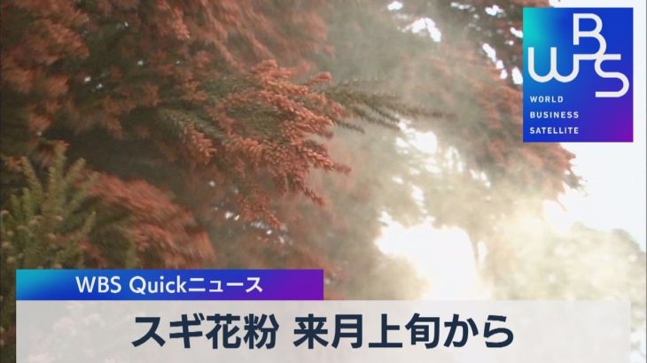スギ花粉 来月上旬から【WBS】（2023年1月19日）