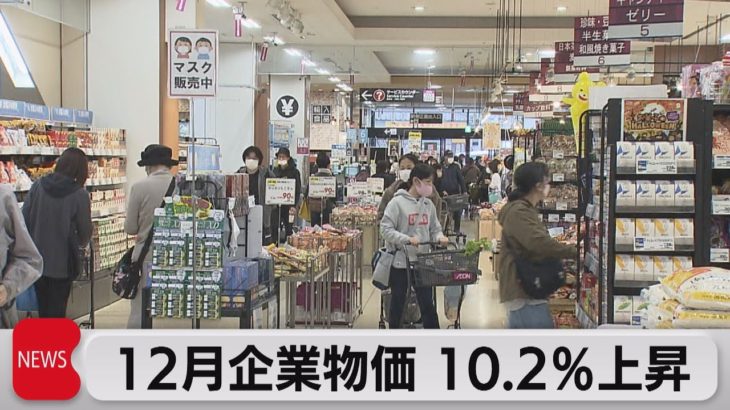 企業物価　2022年12月は10.2％上昇　22年は9.7％で過去最高の伸び率（2023年1月16日）