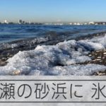 東京湾・三番瀬の海岸に氷の帯