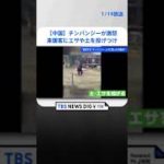 中国の動物園　怒ったチンパンジーが来園客に取った行動とは｜TBS NEWS DIG　#shorts