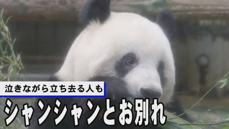 シャンシャンとお別れ、泣きながら立ち去る人も　上野動物園