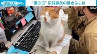 「さぁ撮りたまえ」　“猫の日”の広報課長でした(2023年2月22日)