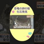 恐竜の卵の殻の化石を発見　国内初 後期白亜紀の地層で　熊本・御船町 #shorts