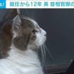 英首相官邸の「ネズミ捕獲長」猫のラリー　就任12年…5人の主の元で生活(2023年2月15日)