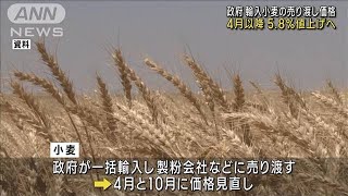 輸入小麦の売渡し価格　5.8％値上げを決定(2023年3月14日)