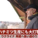 ハチミツ生産にも大打撃 ウクライナ、再建へ長い道のり