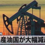 主要産油国が大幅減産へ　原油先物価格↑【モーサテ】（2023年4月4日）