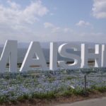 ネモフィラが見頃