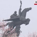 【速報】平壌でも桜が開花