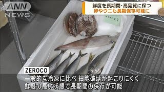 長期間・高品質 鮮度を保つ新技術 卵やウニも可能に(2023年4月13日)
