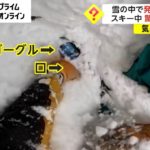 雪の中で発見したのは　スキー中 驚きの光景が(2023/04/03)