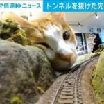 トンネルを抜けた先に“巨大ネコ”(2023年4月24日)