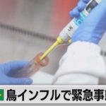 ブラジル 鳥インフルエンザで緊急事態宣言 現時点で流通に影響はなし（2023年5月23日）