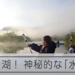 ダム湖に現れた水没林をめぐるカヌーツアー　神秘的な光景広がる