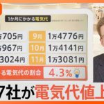 「夏は窓を開け扇風機で乗り切る…」“最大約40％”大手7社が電気代値上げへ…家庭への影響は？【Nスタ解説】