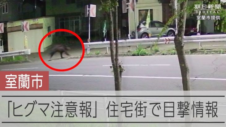 住宅地を走るヒグマ、防犯カメラがとらえた瞬間　北海道室蘭市に「ヒグマ注意報」